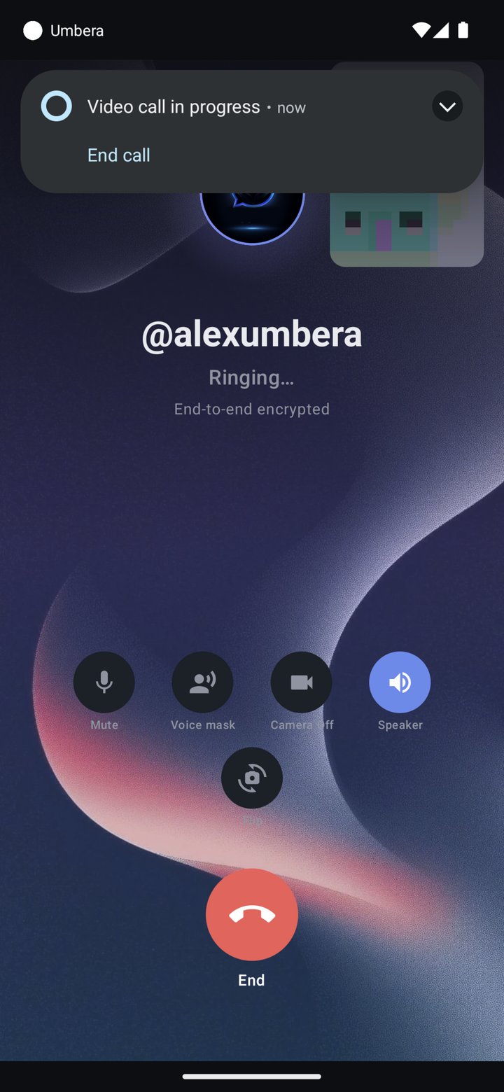 End-to-end encrypted video call